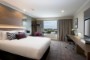 King Room - $269 per night