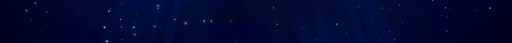 Footer image