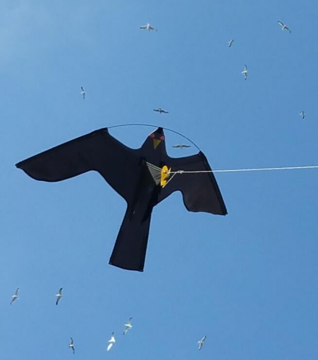 Bird-Scaring-Kite-654x740-1.jpg
