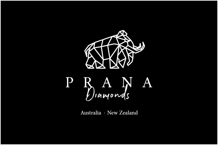 Prana Diamonds Pty Ltd