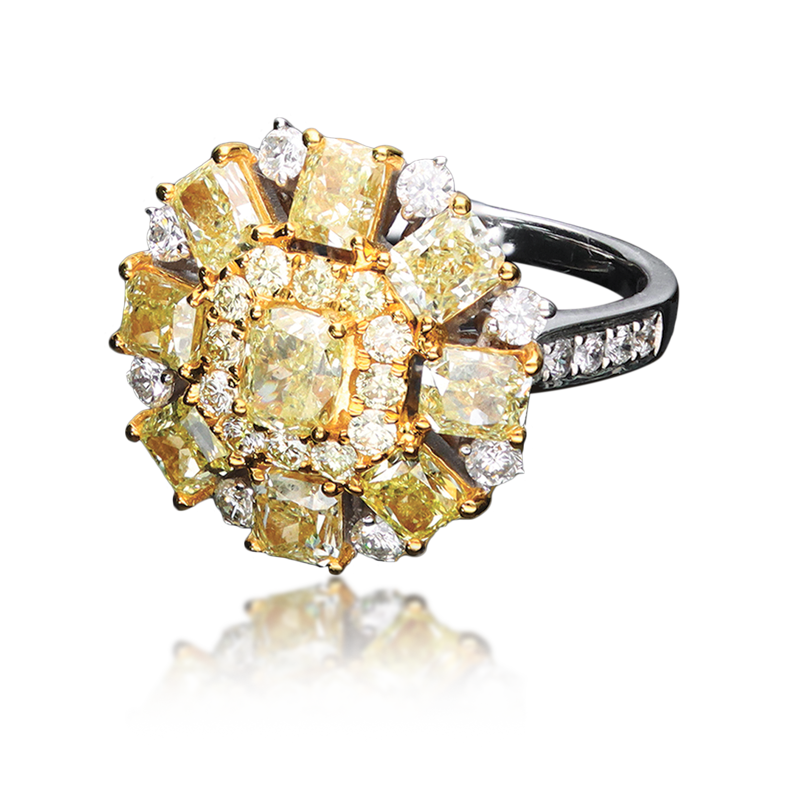 YD RINGS.png