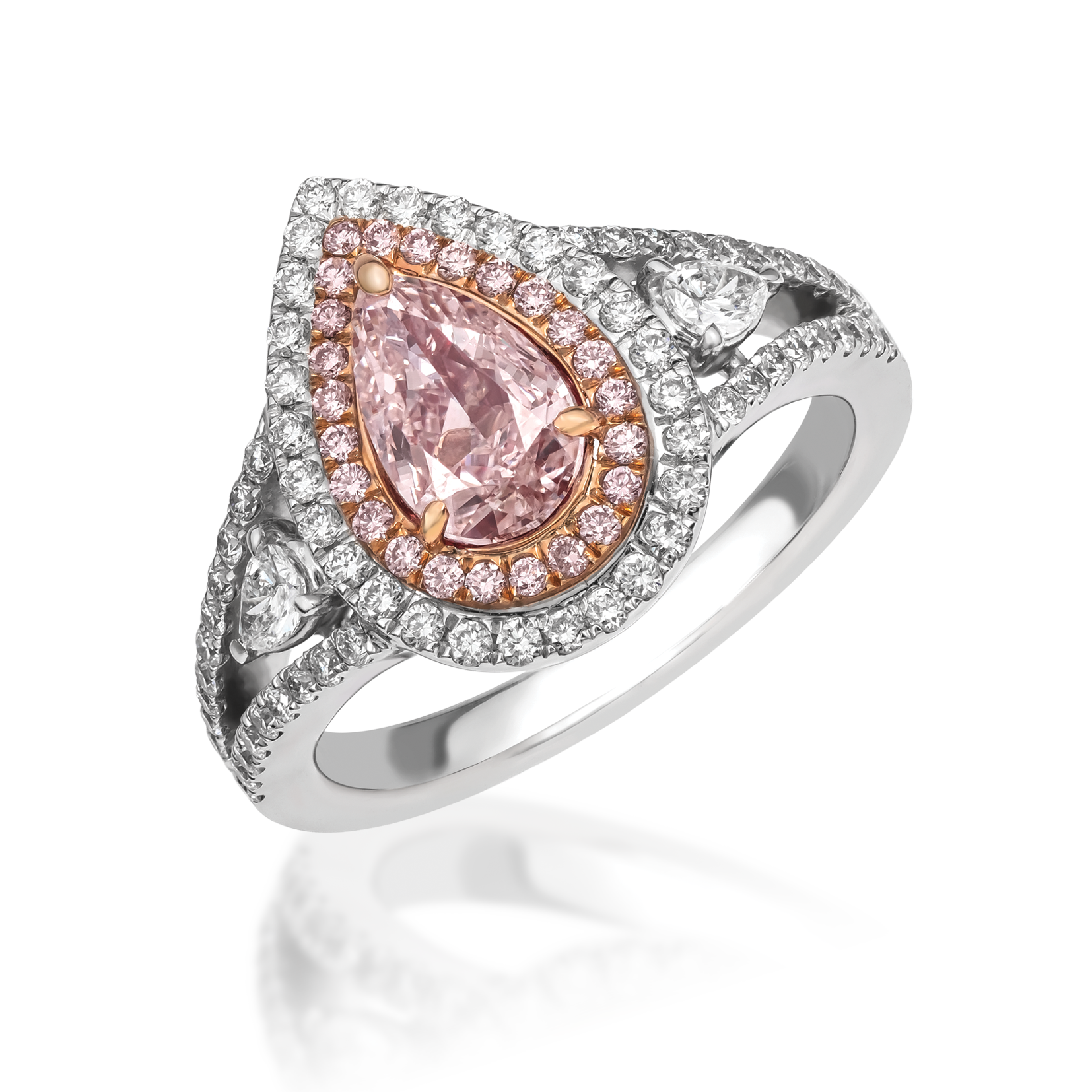 PD RINGS.png