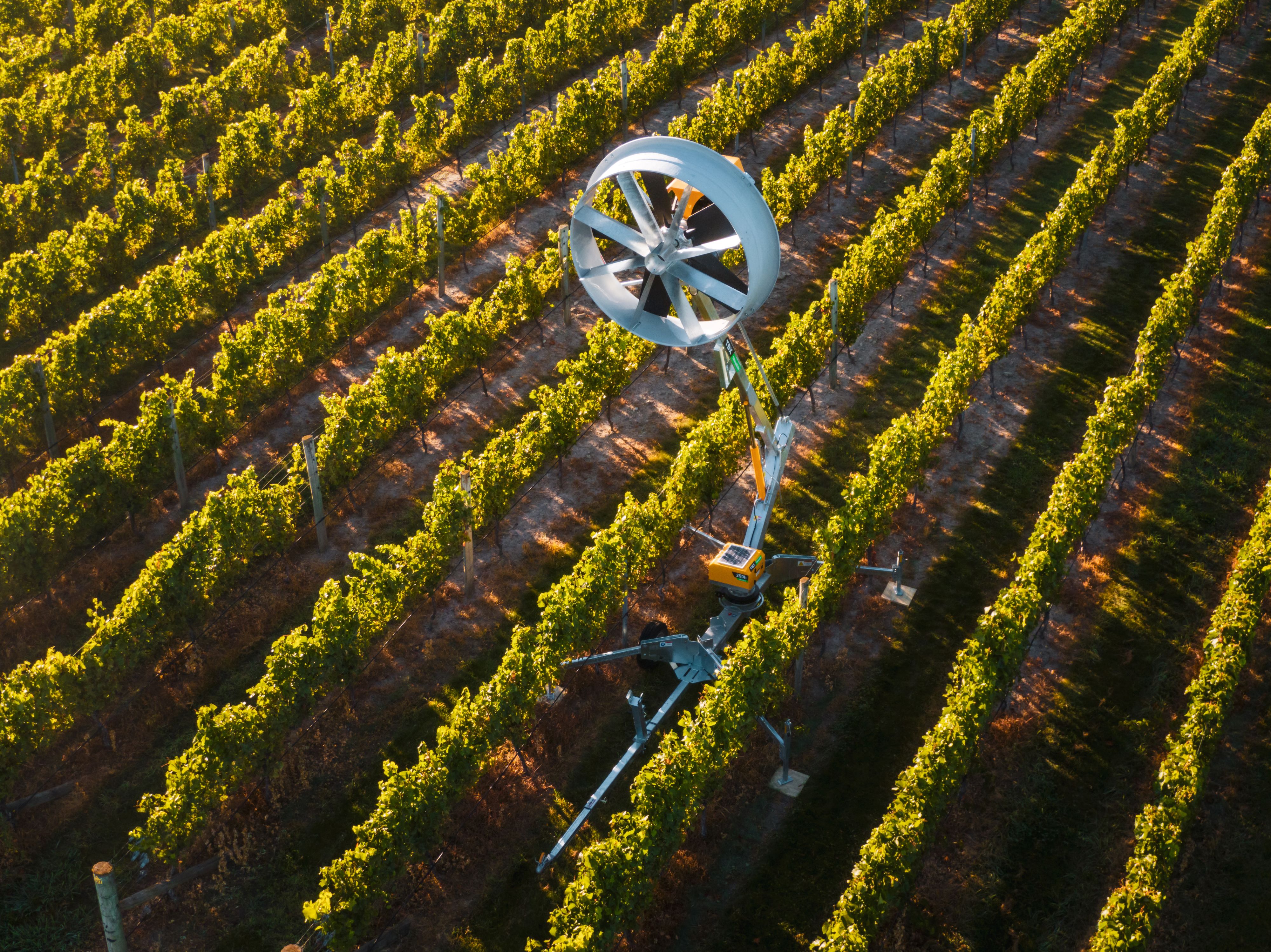 DJI_0056-Enhanced-SR-2.jpg