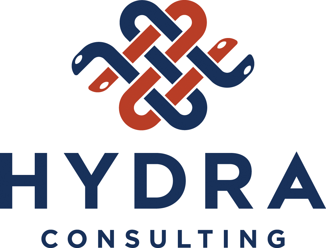 Hydra Consulting
