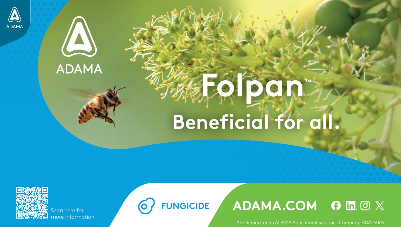 Folpan hero image website.jpg