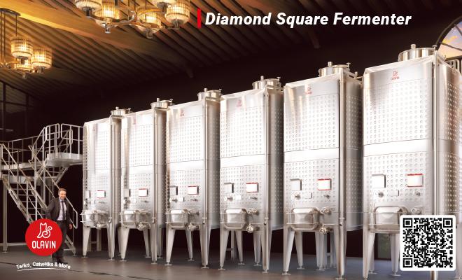 Olavin Diamond Square Fermenter.jpg