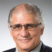 Professor Robin Palmer