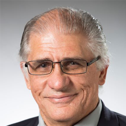 Professor Robin Palmer