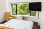 Standard City View - $225 - $265 per night room only