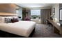 Queen Room - $299 per night room only