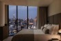 Deluxe Hotel Room - from $250 per night, room only