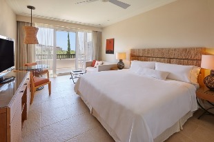 Westin Resort Costa Navarino Deluxe Garden View Room