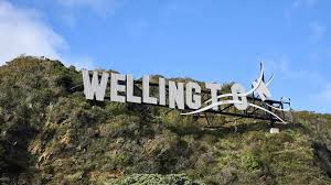 Wellington City Sights Tour - Hop on Hop Off 2 Hour Bus Tour