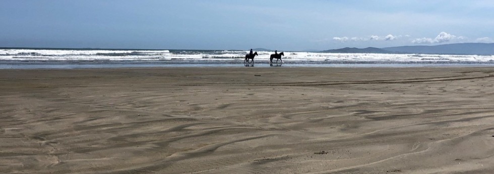Oreti beach, Invercargill