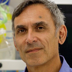 Professor Neil Greenberg