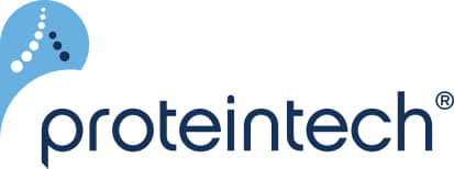 New Sponsor