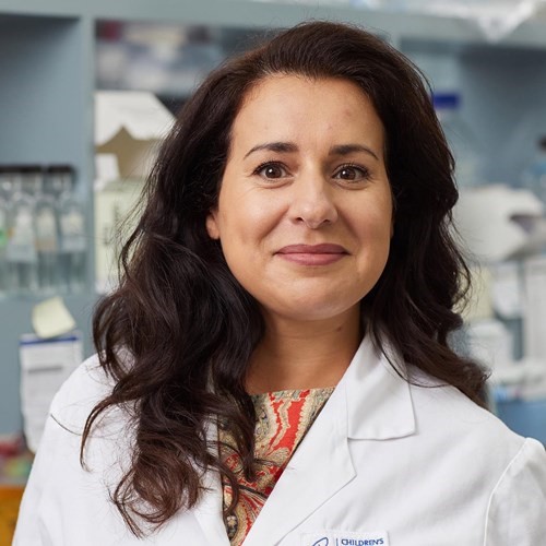 Anai Gonzalez- Cordero