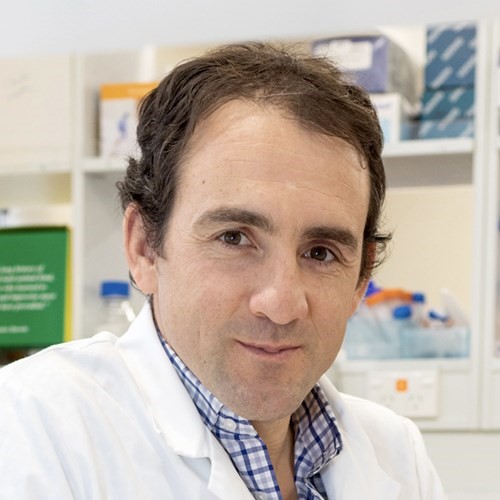 Tim Hore