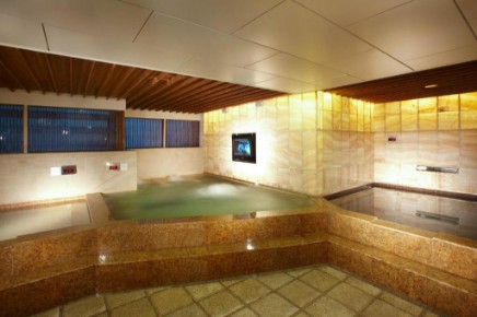 Novotel Ambassador Seoul Gangnam