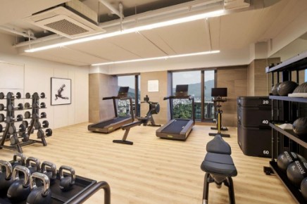 Hilton Garden Inn Seoul Gangnam