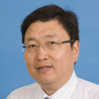 Professor Shizhang Qiao