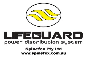 Spinefex