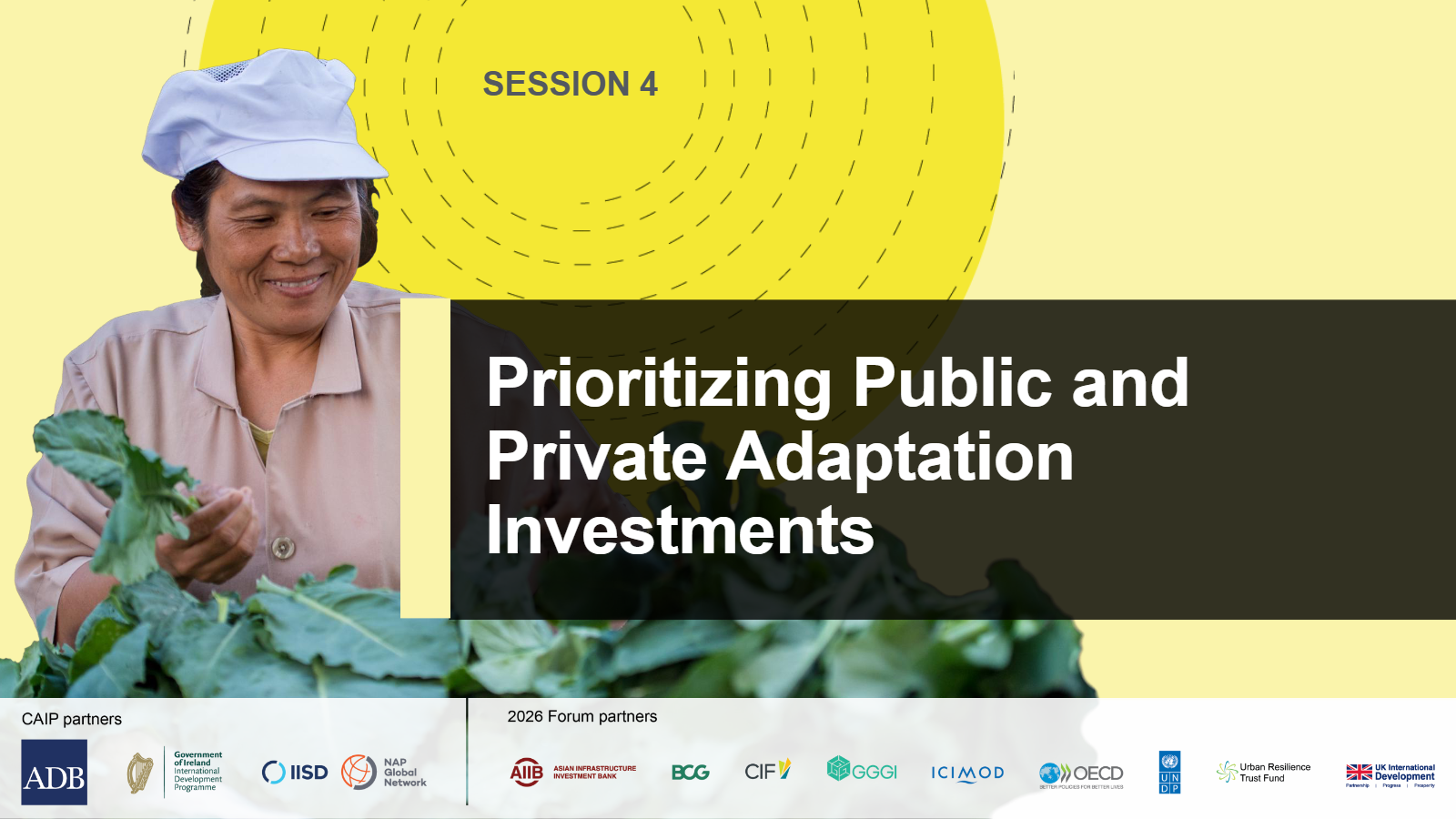 Session 4: Prioritizing Public and Private Adaptation Investments