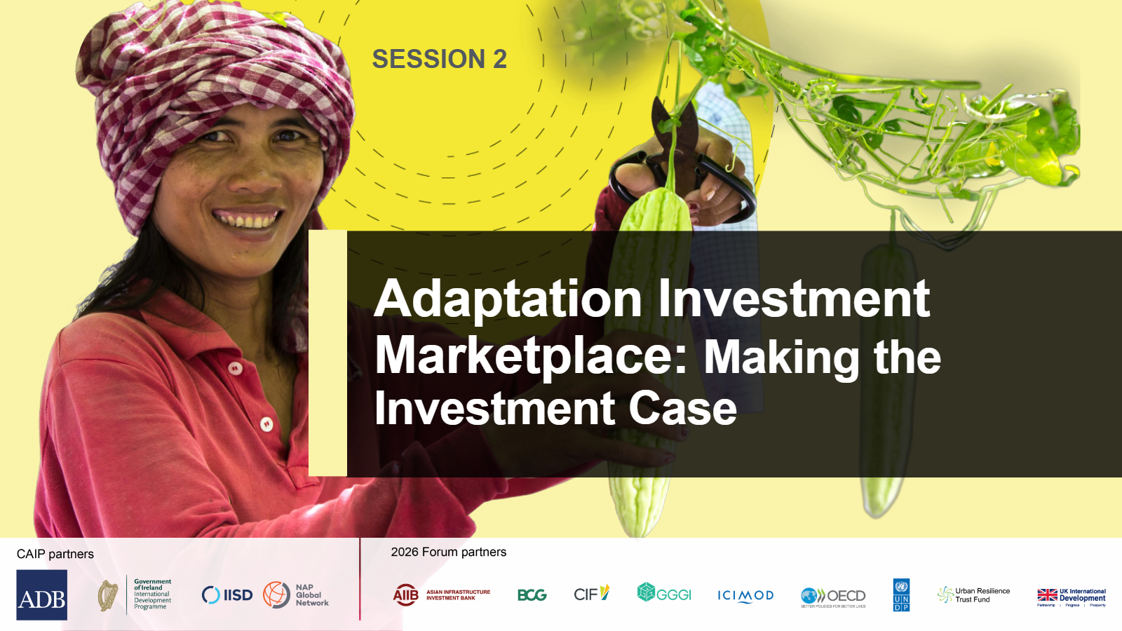 Session 2: Adaptation Investment Marketplace