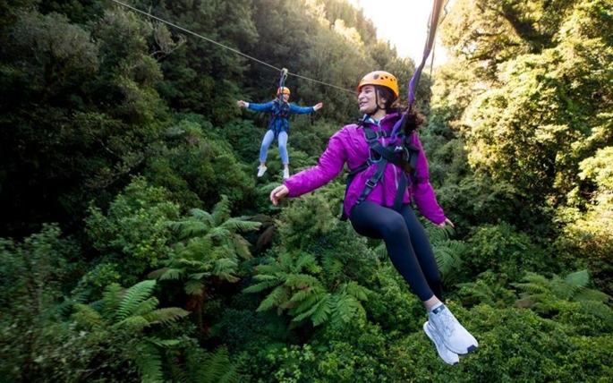 Rotorua Canopy Tours