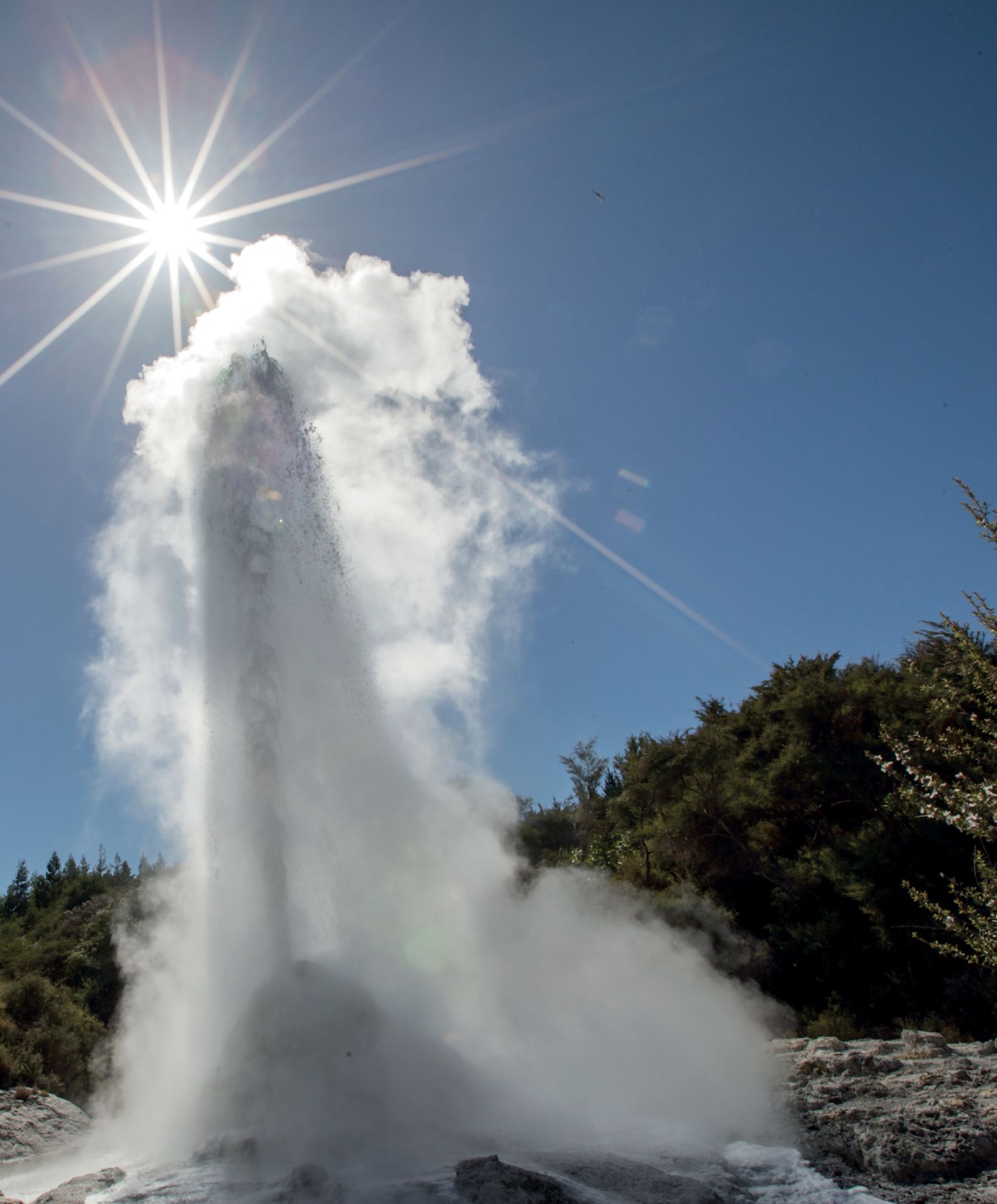 Rotorua geothermal landscape