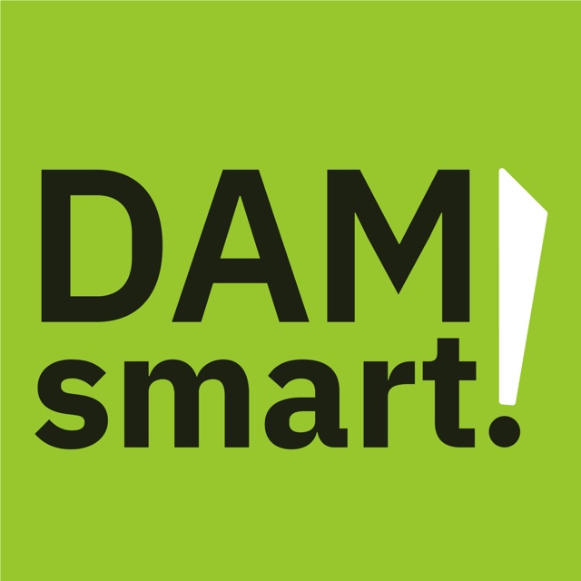 DAMsmart Logo