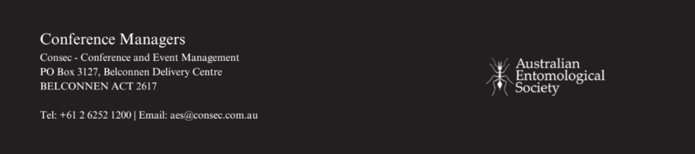 Footer image