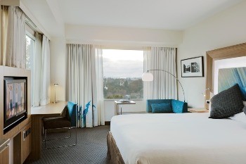 Novotel Hamilton Tainui