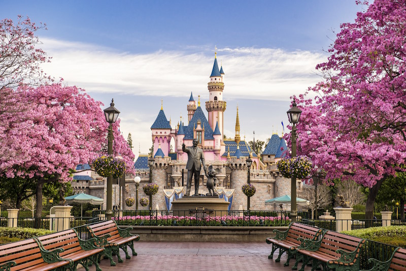 Disneyland® Resort Theme Park