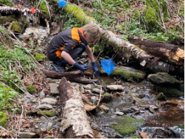 A child in a forest  Description automatically generated