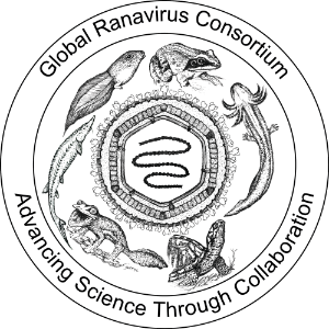 Global Ranavirus Consortium website