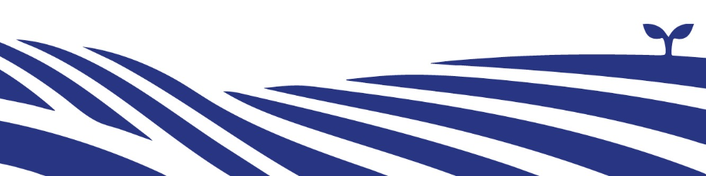 Footer image