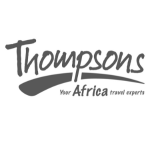 Thompsons Africa Logo