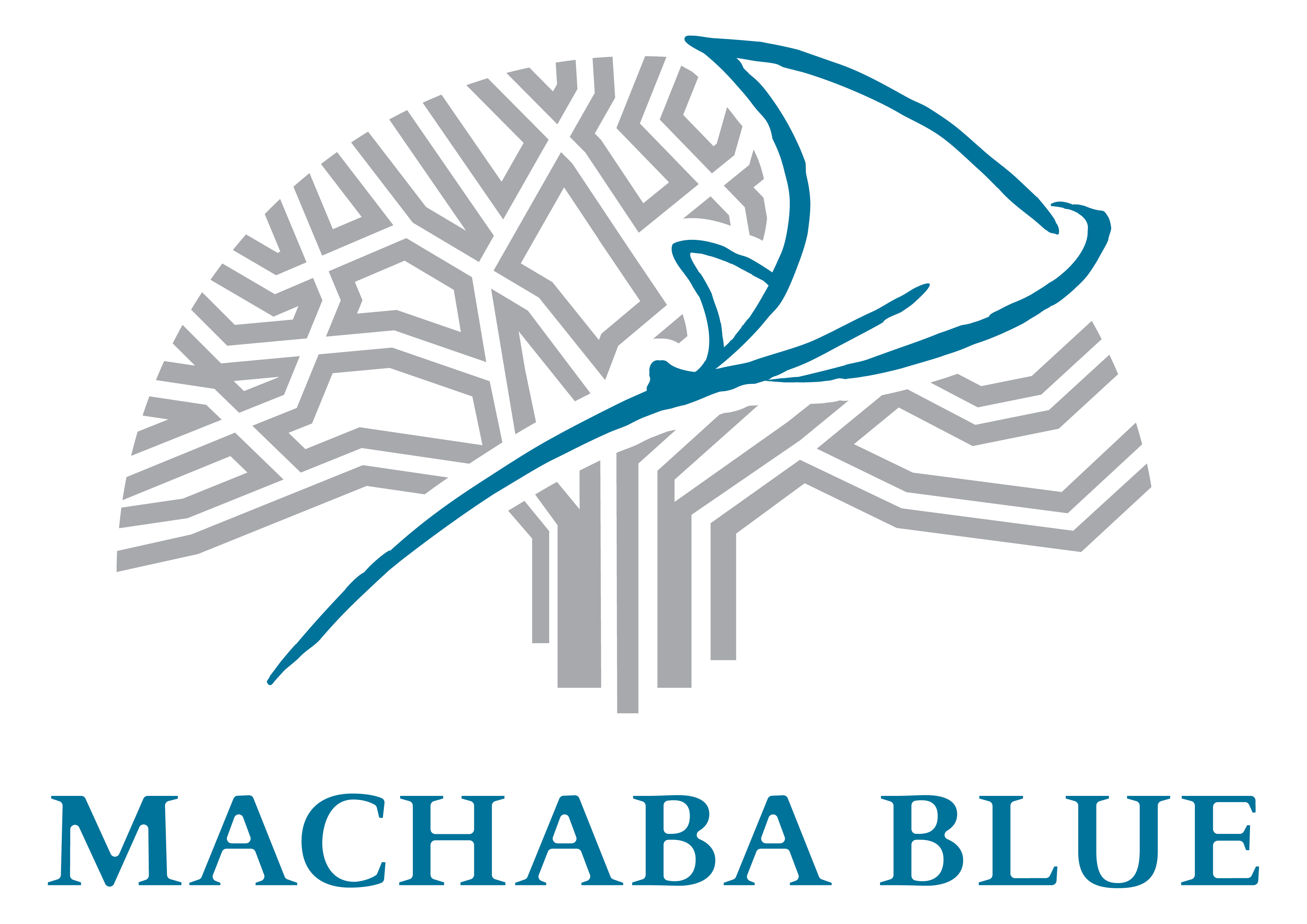 Machaba Blue Logo