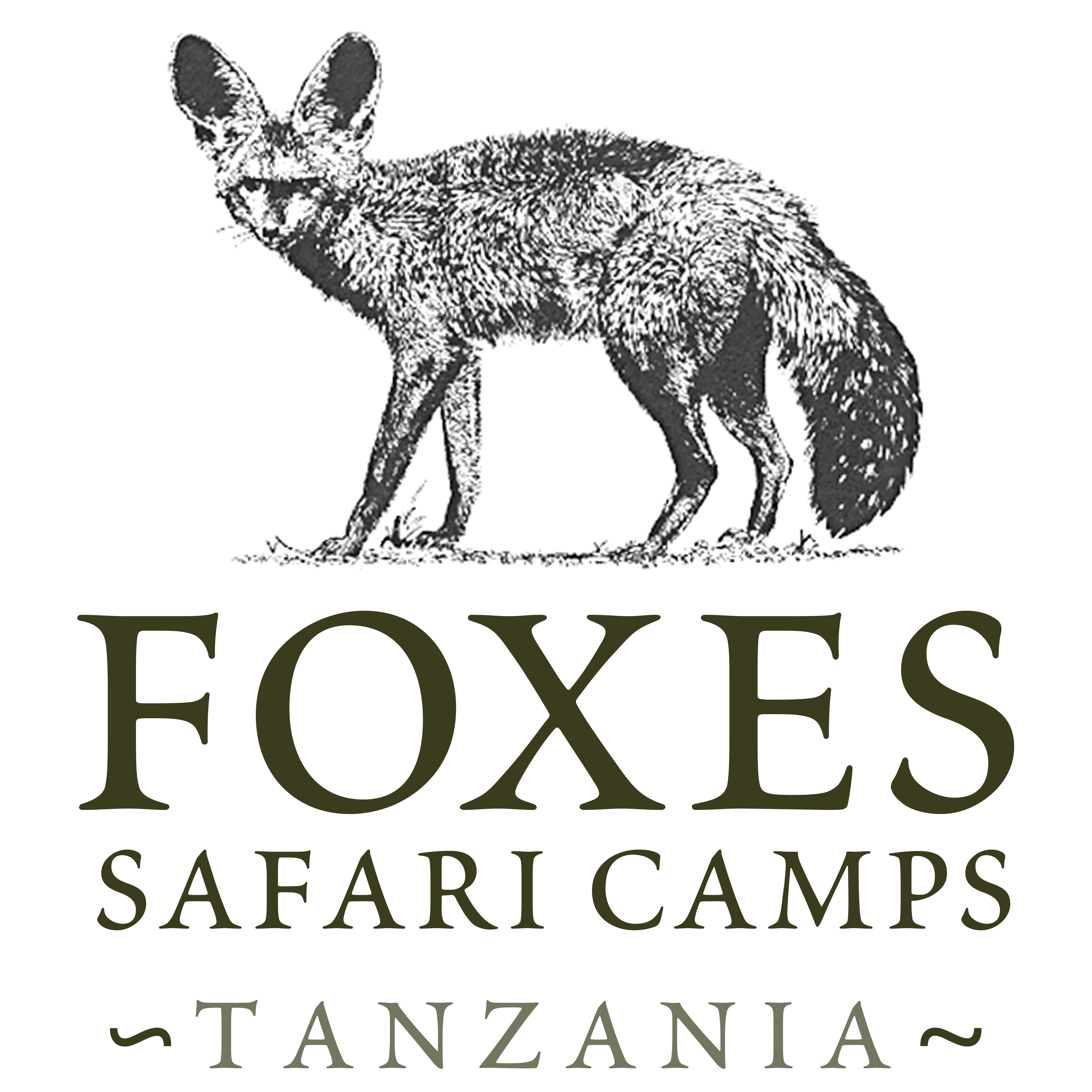 Foxes Safari Camps Logo