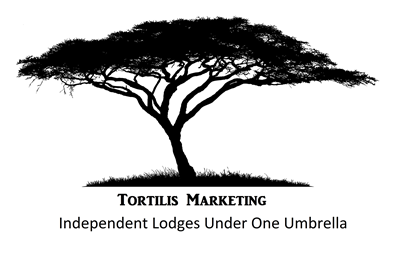 Tortilis Marketing Logo