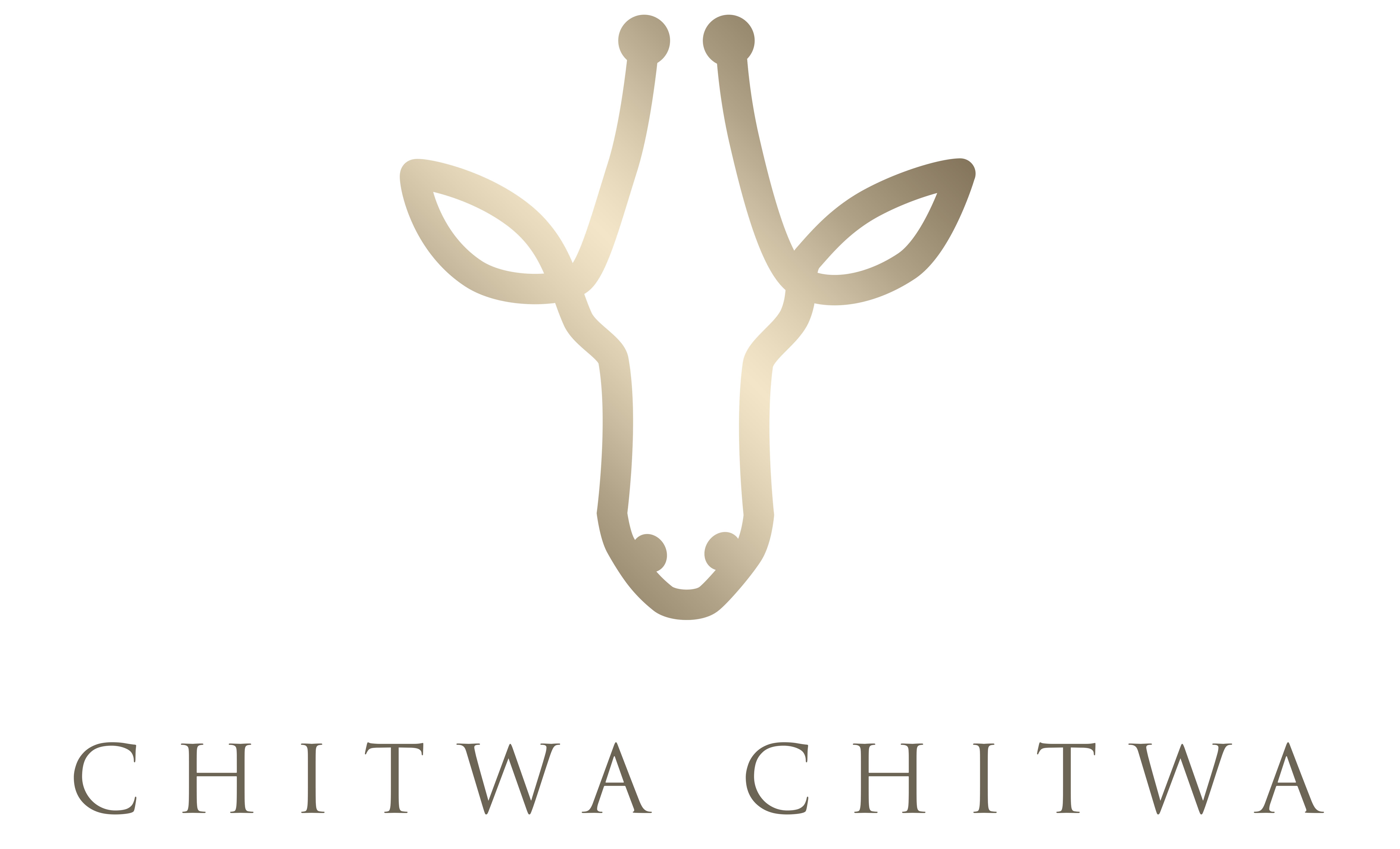 Chitwa Chitwa Logo