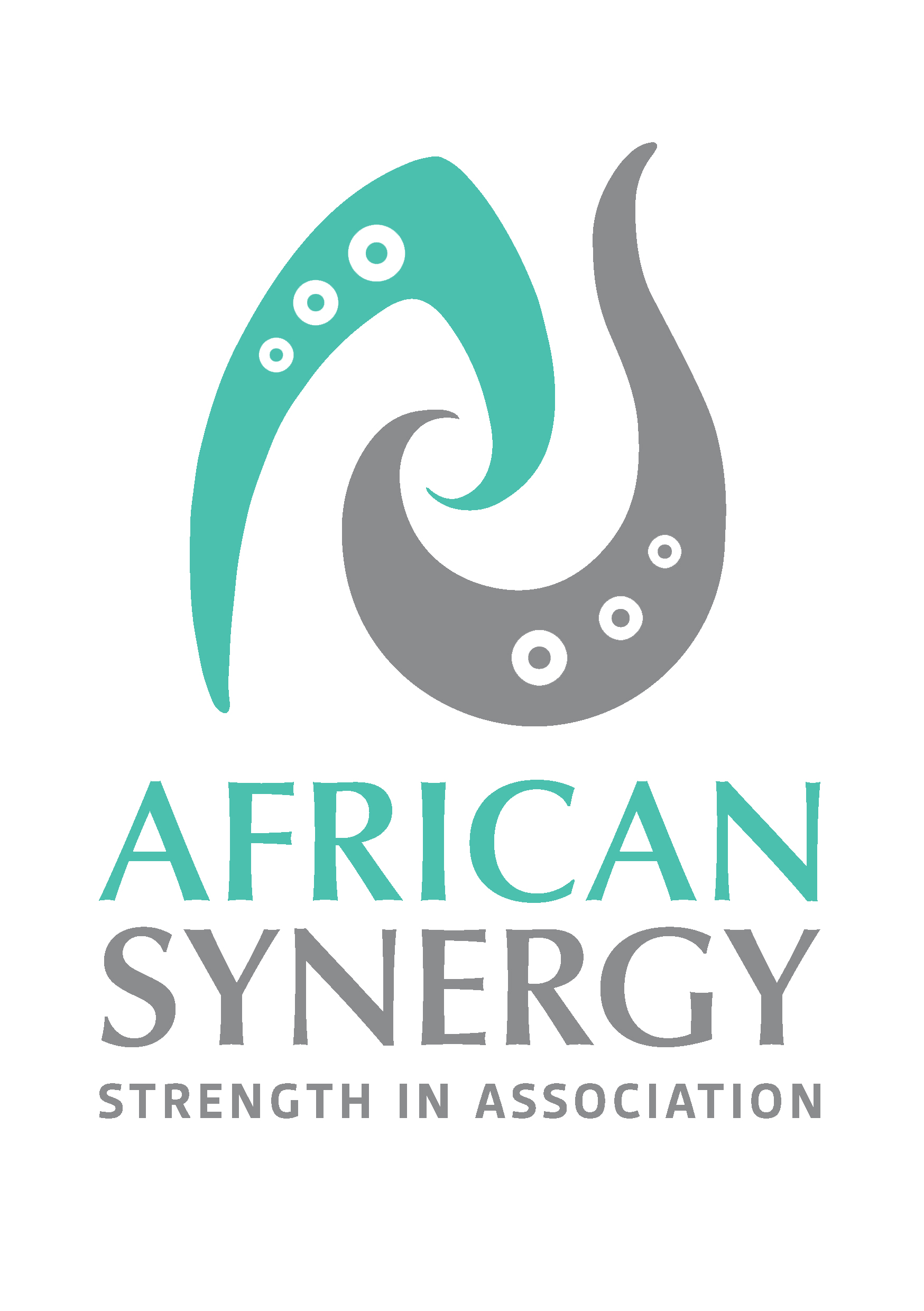 African Synergy Logo