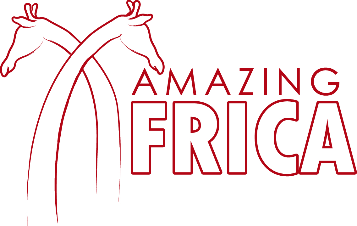 Amazing Africa DMC Logo