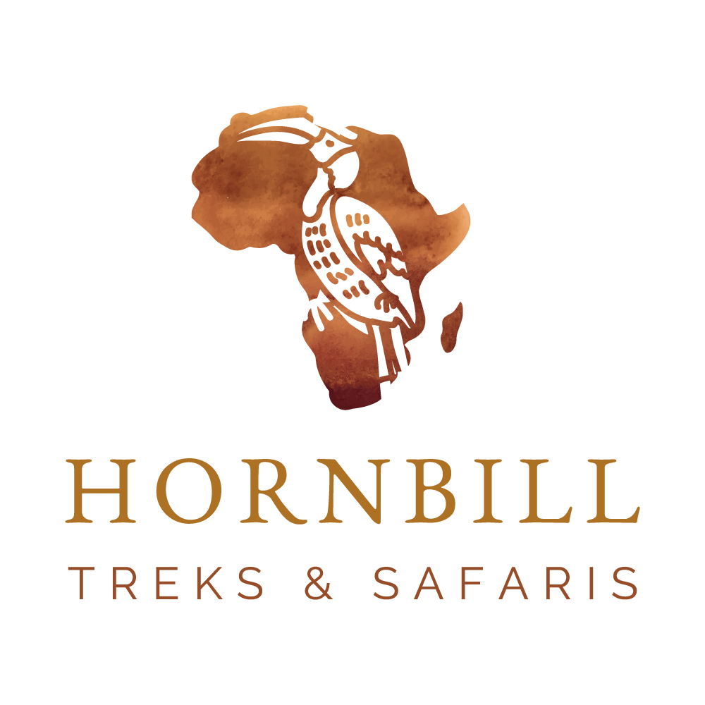 Hornbill Treks & Safaris Logo