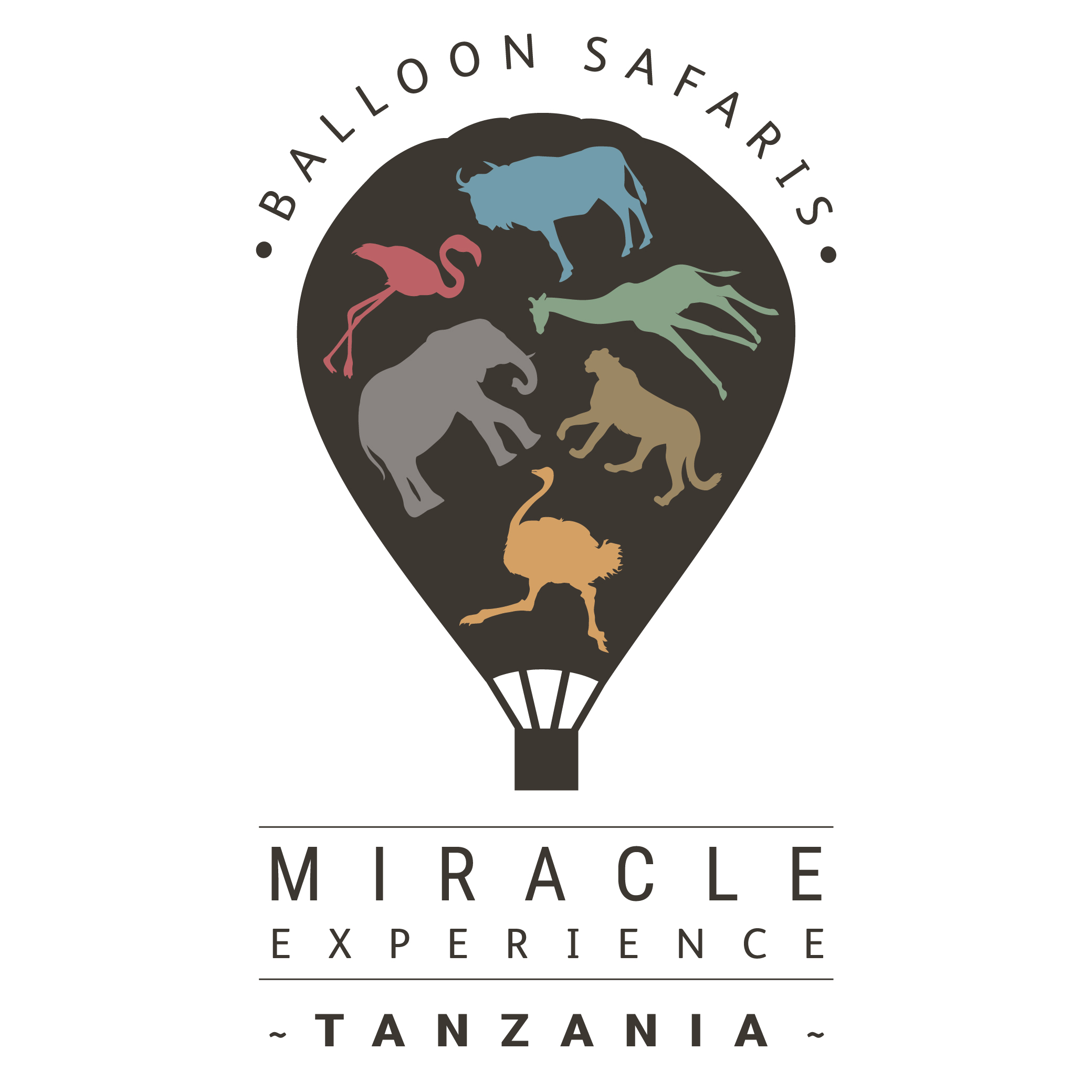 Miracle Collection Logo