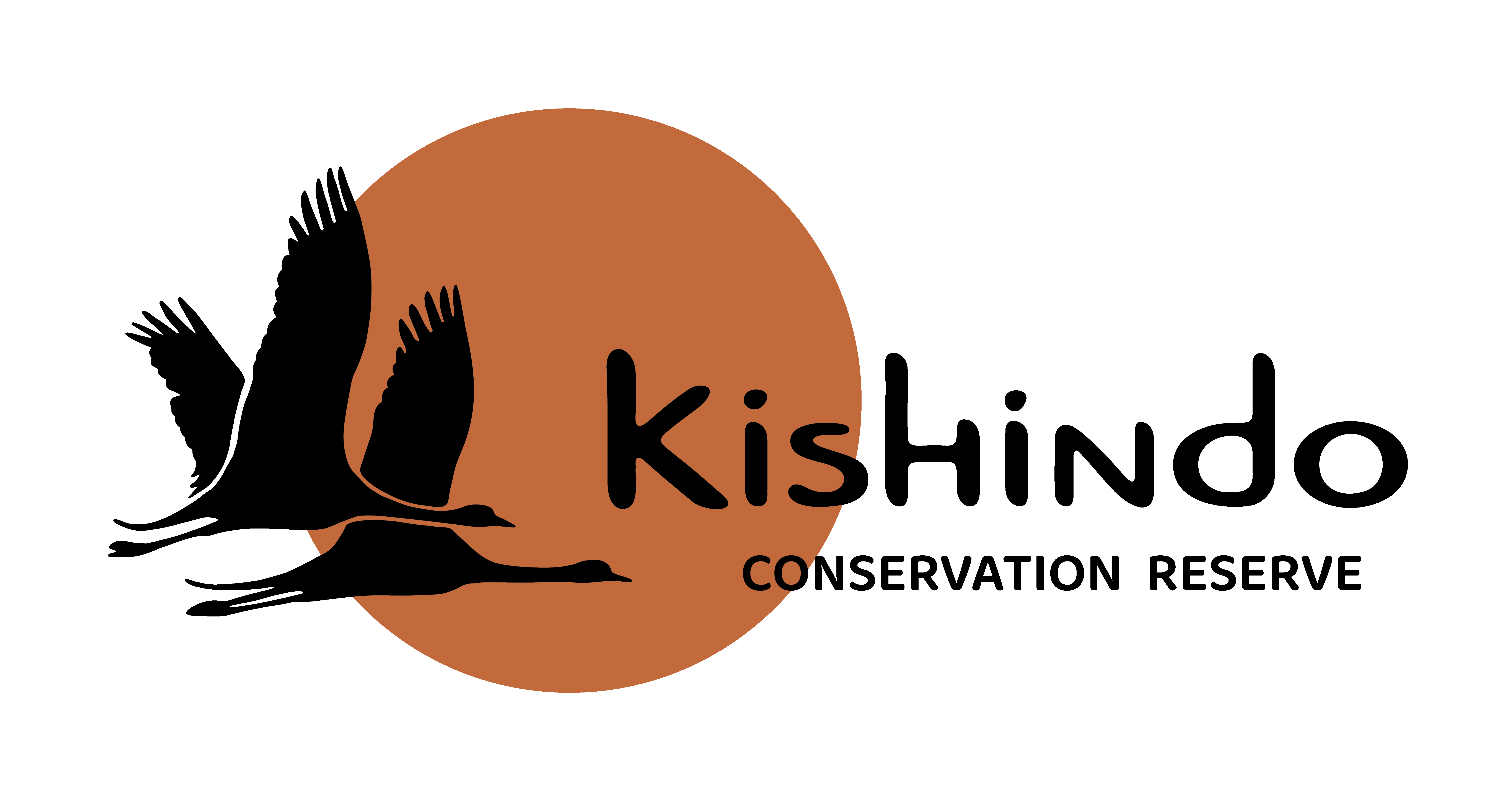 Africa in Your Hands Logo
