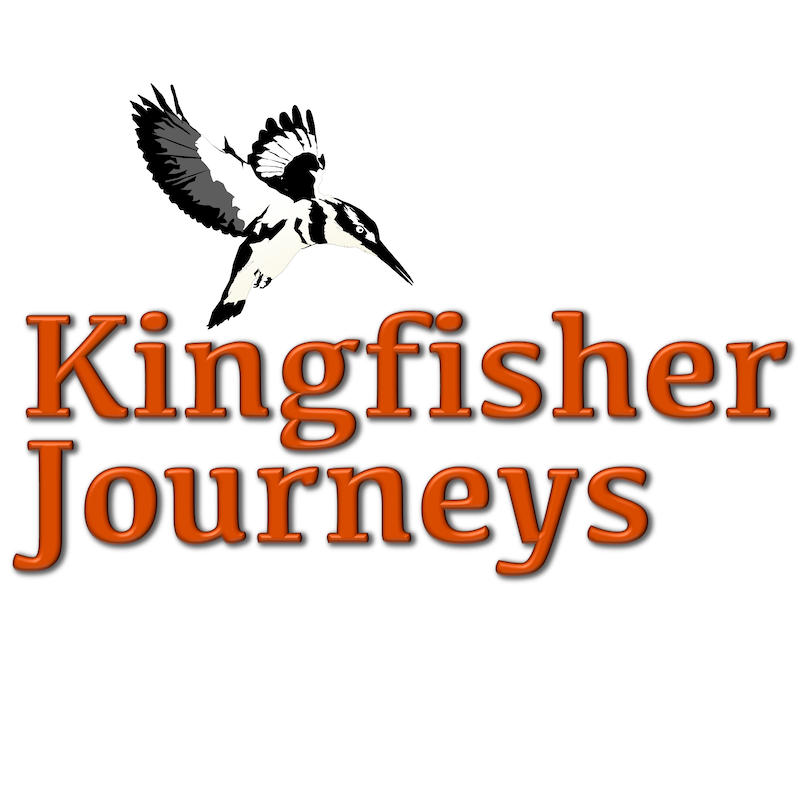 Kingfisher Journeys (Rwanda) Logo
