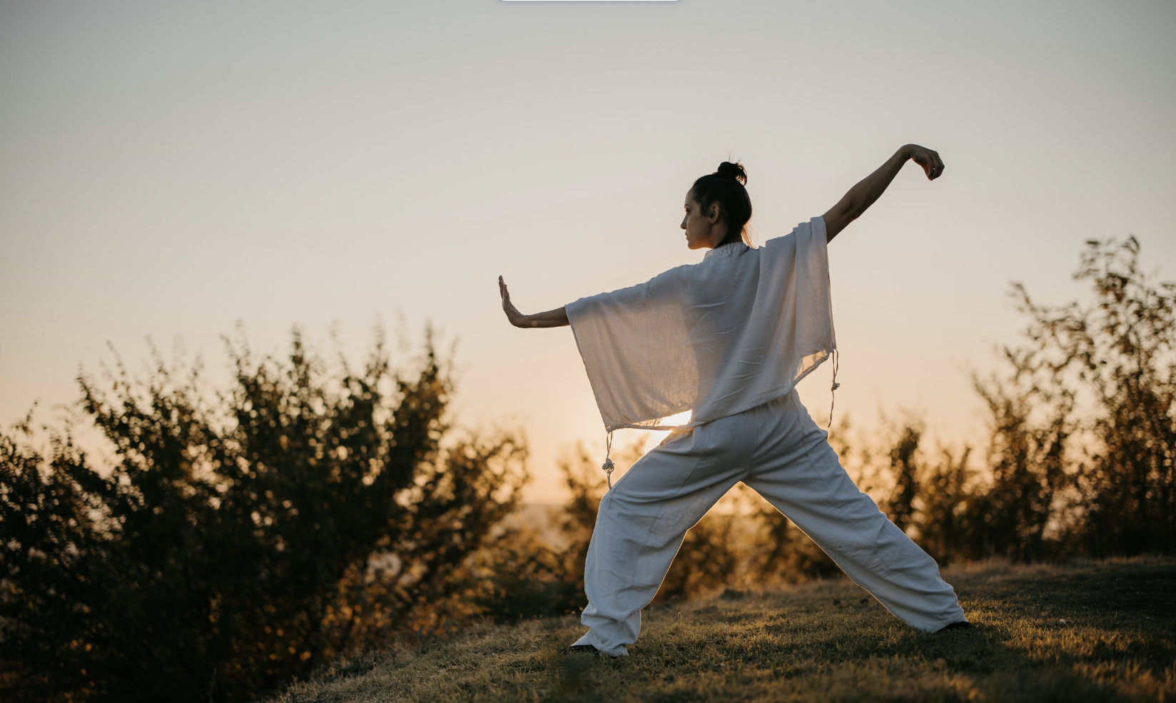 Tai Chi image