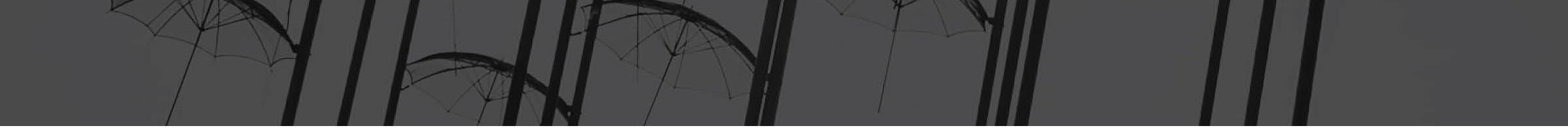 Footer image